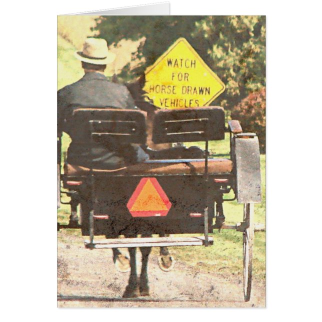 Horse Drawn Vehicles, Amish Horse and Buggy Kalona (Front)