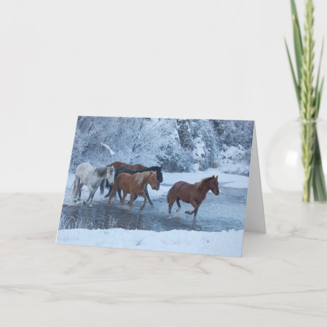 Horse Drive in Winter Card (Front)