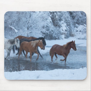 Horse Drive in Winter Mouse Pad