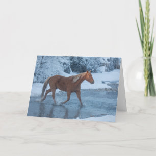 Horse Drive in Winter on Hideout Ranc Card