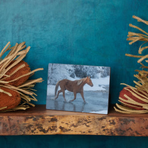 Horse Drive in Winter on Hideout Ranc Plaque