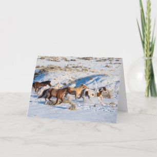 Horse Drive in Winter on Hideout Ranch Card