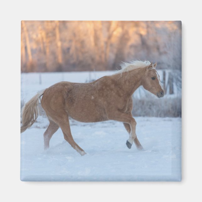 Horse Drive in Winter on Hideout Ranch Magnet (Front)