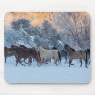 Horse Drive in Winter on Hideout Ranch Mouse Pad