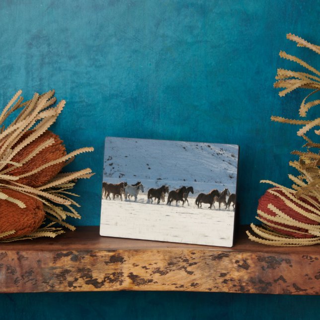 Horse Drive in Winter on Hideout Ranch Plaque (Side)