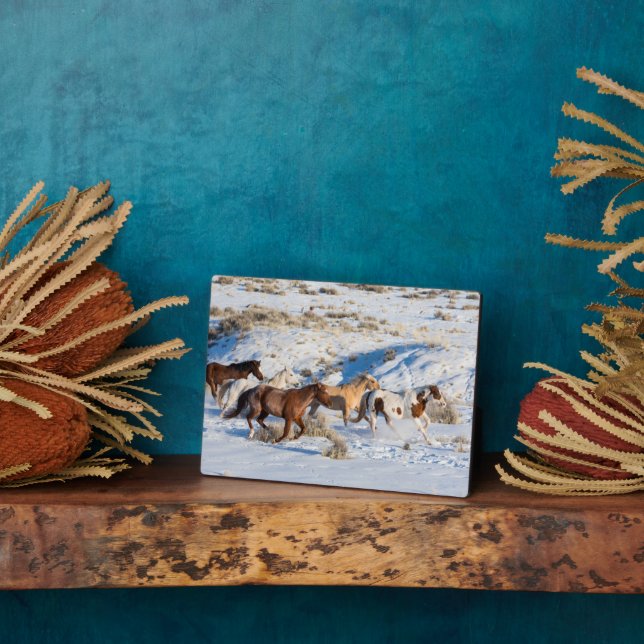 Horse Drive in Winter on Hideout Ranch Plaque (Side)