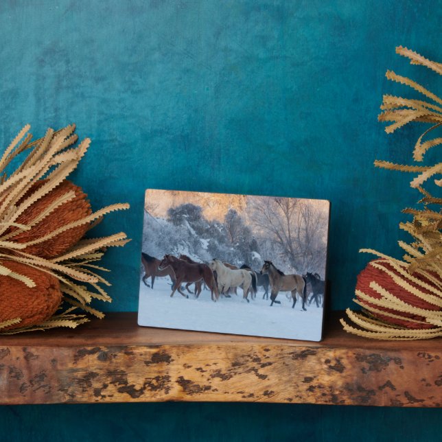 Horse Drive in Winter on Hideout Ranch Plaque (Side)