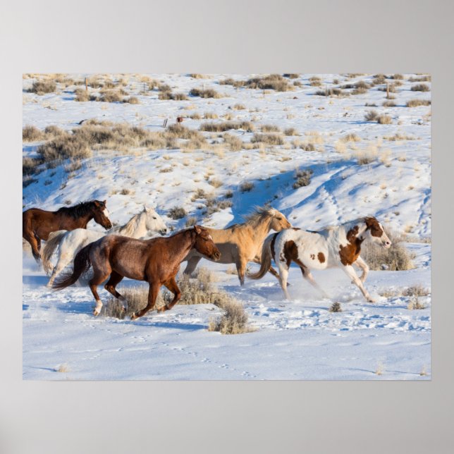Horse Drive in Winter on Hideout Ranch Poster (Front)