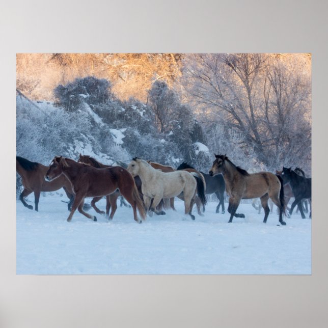 Horse Drive in Winter on Hideout Ranch Poster (Front)