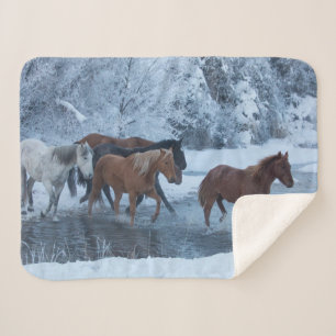 Horse Drive in Winter Sherpa Blanket