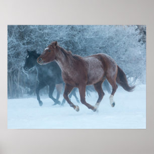 Horse Drive Poster