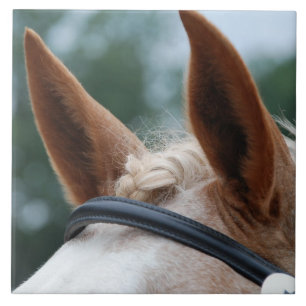 horse ears ceramic tile