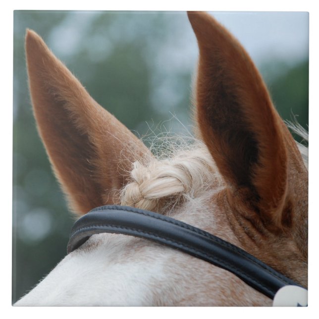 horse ears ceramic tile (Front)