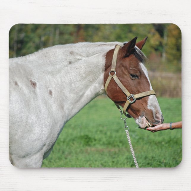 Horse eating alfalfa mouse pad (Front)