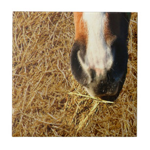 Horse Eating Hay Ceramic Tile