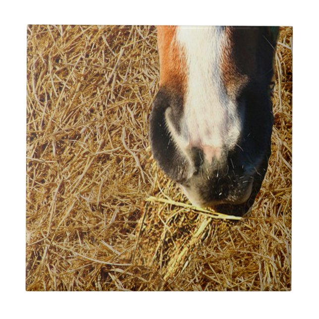 Horse Eating Hay Ceramic Tile (Front)