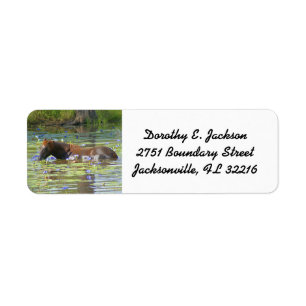 Horse eating in the lake Australia, Return Address Label