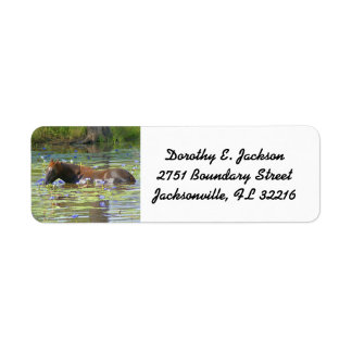 Horse eating in the lake Australia, Return Address Label