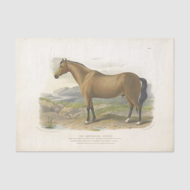 Horse Ephemera Decoupage Vintage Brown Tissue Paper (Front)