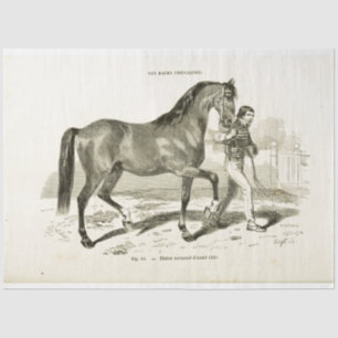 Horse Ephemera Decoupage Vintage French Man Tissue Paper