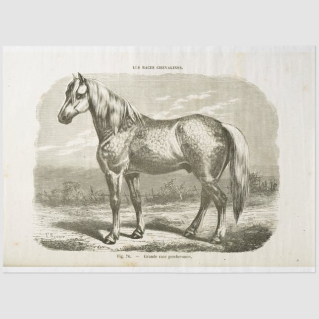 Horse Ephemera Decoupage Vintage French  Tissue Paper (Front)