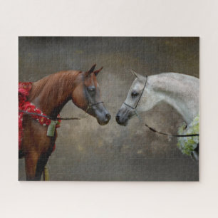 Horse Equestrian Arabian Arab Champions Jigsaw Puzzle