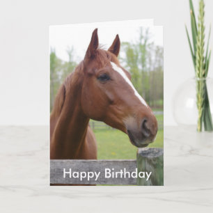 Horse Equestrian Hunter Birthday Card