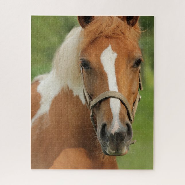 Horse Equestrian Jigsaw Puzzle (Vertical)