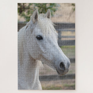 Horse Equestrian Jigsaw Puzzle