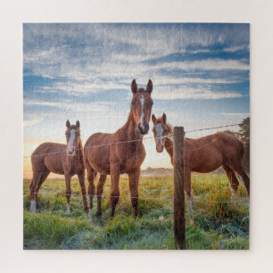 Horse Equestrian Jigsaw Puzzle