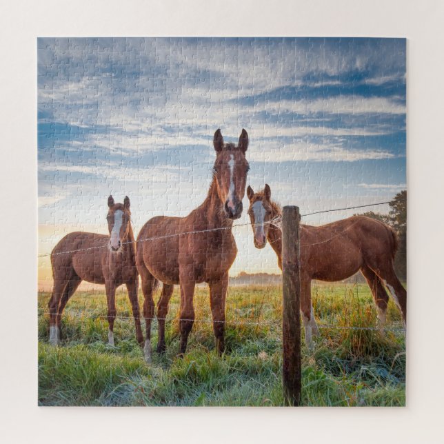 Horse Equestrian Jigsaw Puzzle (Vertical)