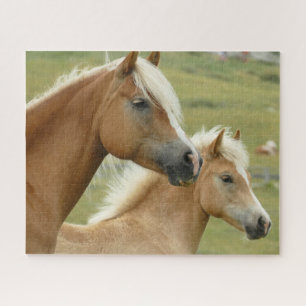 Horse Equestrian Jigsaw Puzzle
