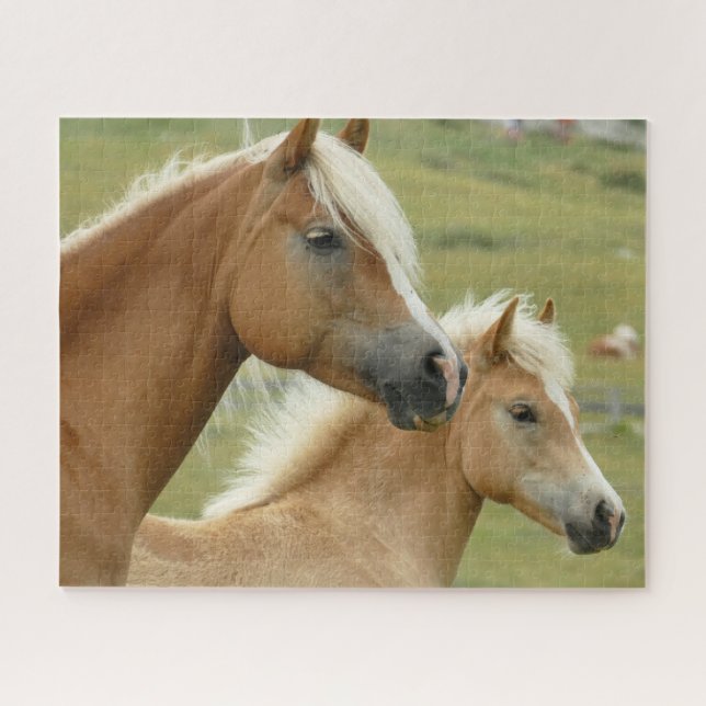 Horse Equestrian Jigsaw Puzzle (Horizontal)