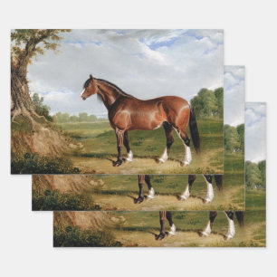 Horse Equestrian Oil Painting Vintage Antique  Wrapping Paper Sheet