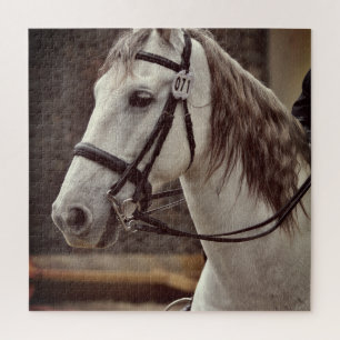 Horse Equestrian Puzzle Andalusian