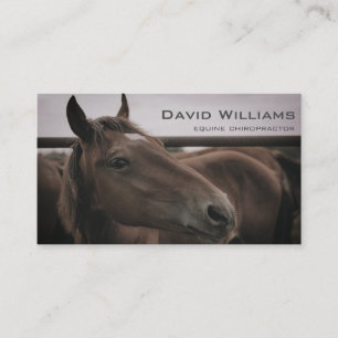 Horse Equine Chiropractor Physiotherapist Business Card