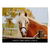 Horse Extra Large Birthday Card