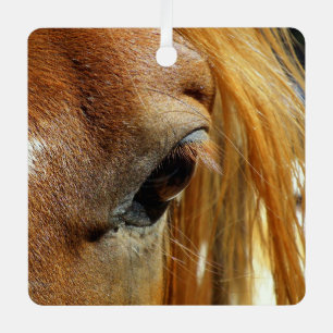 Horse Eye Closeup Metal Tree Decoration