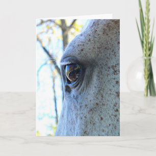 Horse Eye Greeting Card