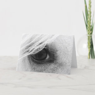 Horse Eye in Black and White Card