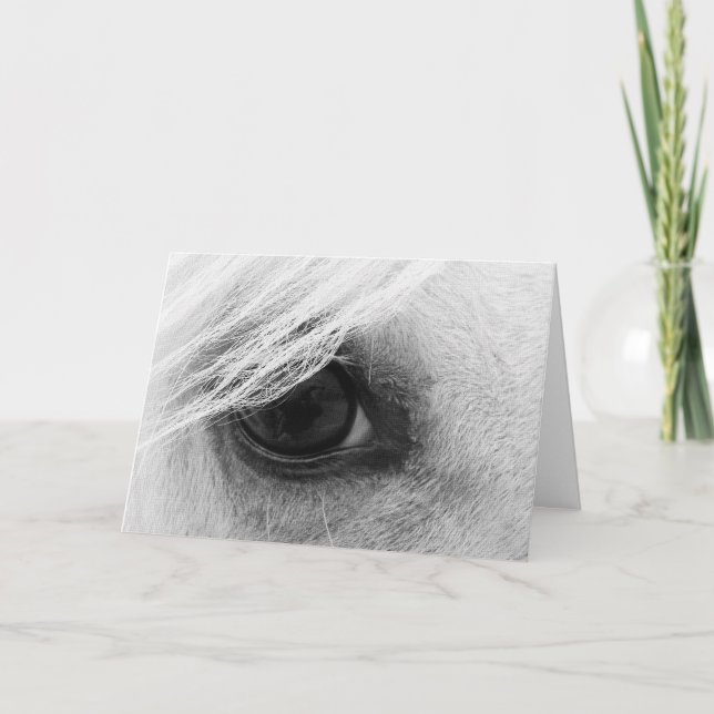 Horse Eye in Black and White Card (Front)
