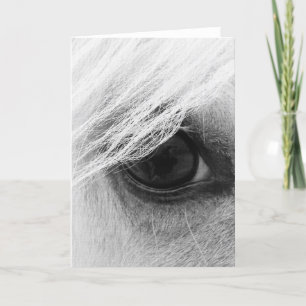 Horse Eye in Black and White Card