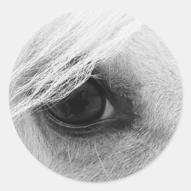 Horse Eye in Black and White Classic Round Sticker (Front)