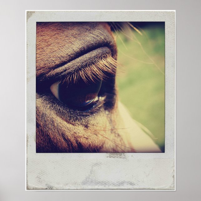 Horse Eye Poster (Front)