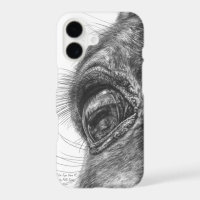 Horse Eye Reflection Closeup