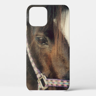 Horse Eye View iPhone 12 Pro Case