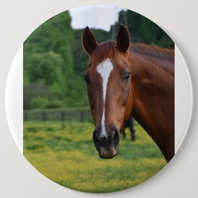 horse face button (Front)