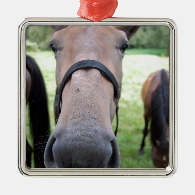 Horse face metal tree decoration (Front)