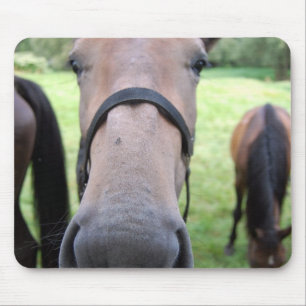 Horse face mouse pad