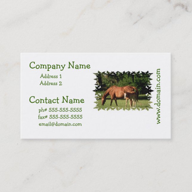 Horse Family  Business Cards (Front)